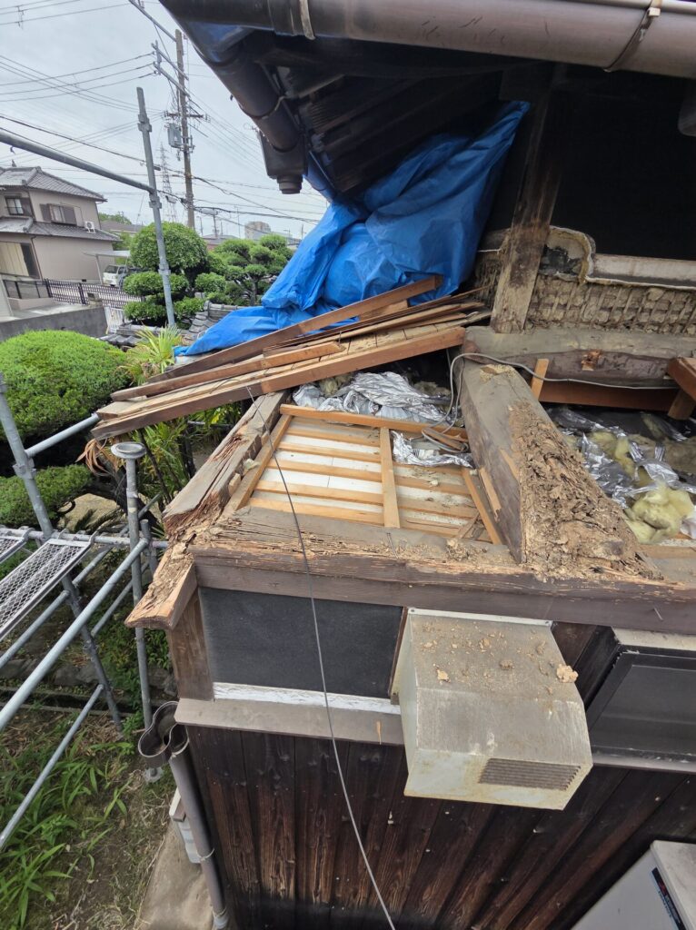 加古川市　シロアリ